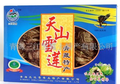 青海三江雪鹰 高原上的灵禽与草原的珍馐