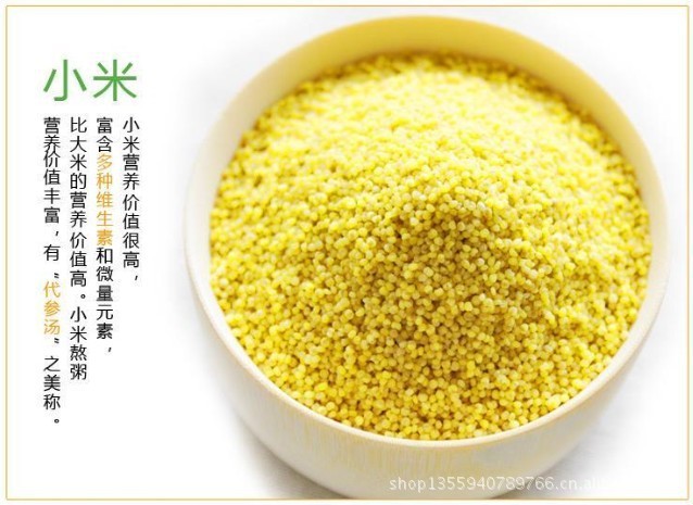 谷子地小米 忻州晋园春食品厂家直供 山西特产600g袋装批发价格及产品详情
